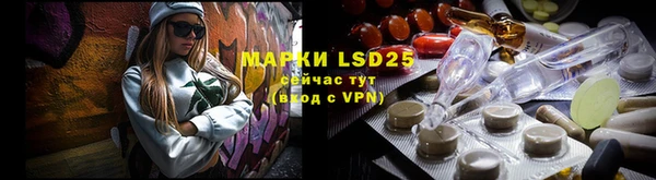 гидропоника Алзамай