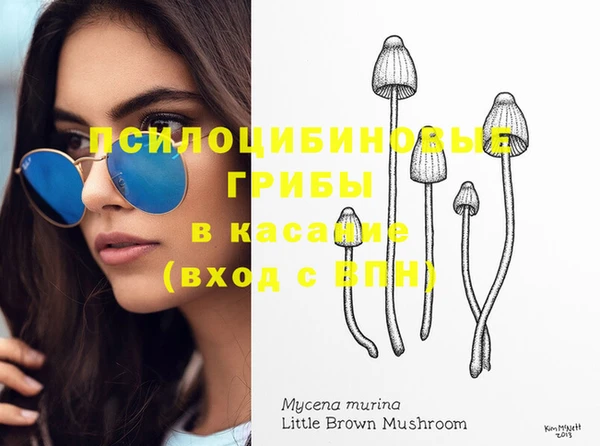 гидропоника Алзамай