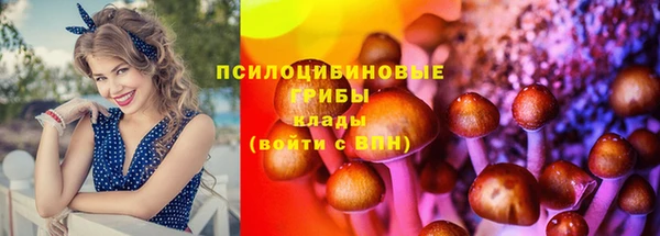 дурь Армянск