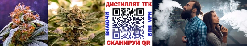 Купить  Татарск  Дистиллят ТГК концентрат 
